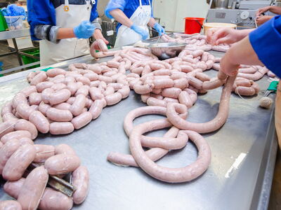 © salomonus_ - stock.adobe.com