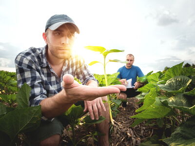 © Taras Rudenko - stock.adobe.com