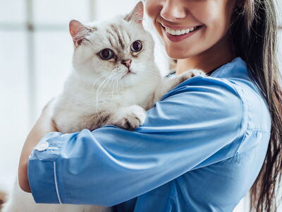 © Vasyl - stock.adobe.com