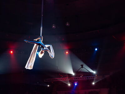 ©  davit85 - stock.adobe.com