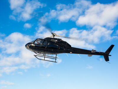 © PhotoSpirit - stock.adobe.com