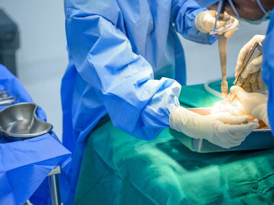 © เลิศลักษณ์ ทิพชัย - stock.adobe.com