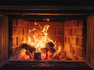 © Ghiso Edward/Wirestock - stock.adobe.com