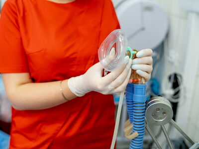 © Vadim - stock.adobe.com